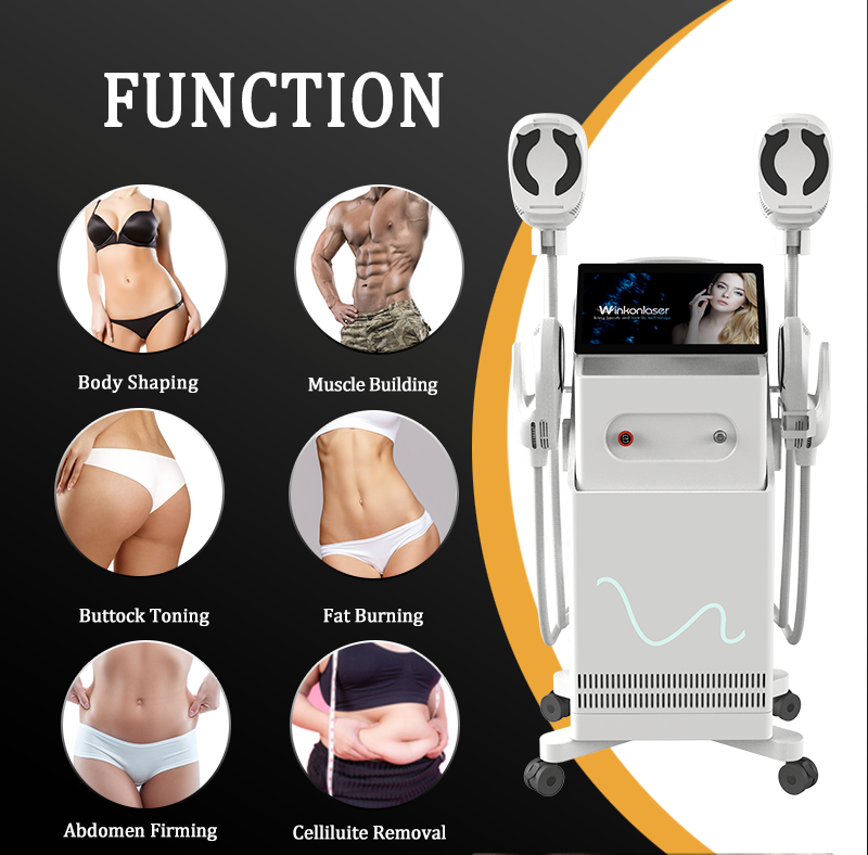 Renasculpt® FE80 Electromagnetic Wave 5000W 15 Tesla Ems Sculpting Machine