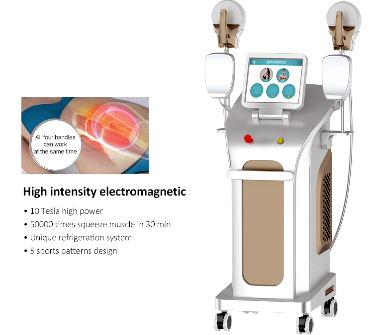 Renasculpt® FE30 Simultaneity Work Ems Sculpt Slimming Machine Manufacture